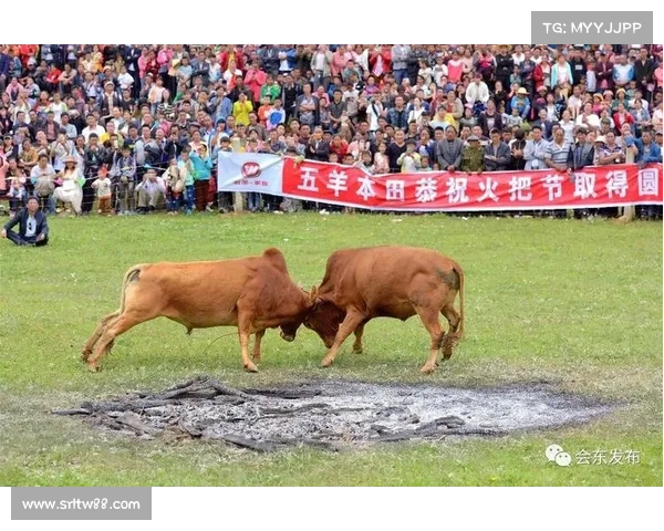 伦敦传奇球场盛大体育赛事点燃全城激情狂欢盛宴