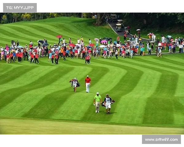 著名高尔夫球赛事主要的高尔夫赛事